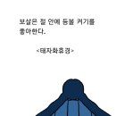 태자화로