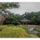 담소정 Daum카페
