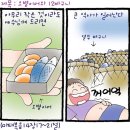 12바구니