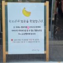 원주/지정면 원프리카 카페/바나나농장/ 후기