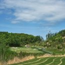 더플레이어스골프클럽 이미지