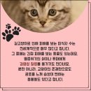 `Netizen 신비 동물의 왕국` 2018. 12. 30(일요특집) 이미지