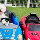 멍스빌리지풀빌라3 이미지