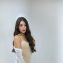 스튜디오보리 Daum카페
