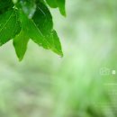 비온후풍경 이미지