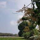 한국농장 이미지