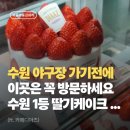 성암공원야구장(주말) | KT 수원 야구장 카페 먹거리 딸기케이크 1등 (카페디아즈)