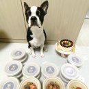 제이펫컴퍼니 이미지