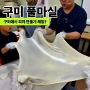 안적동농장 | 피자 만들기 체험 다녀왔어요 치즈 만들기부터 송아지 우유주기까지 풀마실 후기
