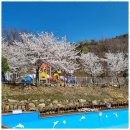 경주캠핑 자연 품에서의 완벽한 힐링, 경주힐링캠프 후기