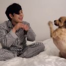 해준 이미지