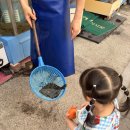 보금자리회수산 | 부평 삼산동 횟집 추천｜부모님과 아이들까지 함께 다녀온 보금자리 회수산 야장