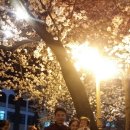 홈앤창 네이버블로그