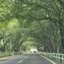 연암공업대학교 입구 이미지