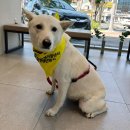 범어동물병원 이미지