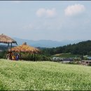 승산농장 이미지