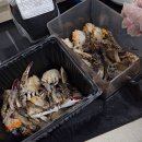 [K-꽃게] 서해안꽃게로 만드는 5분 완성 간장게장