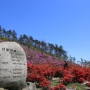 삼문산 진달래공원 Daum카페