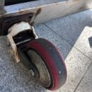 성주카병원 이미지