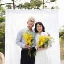 로란