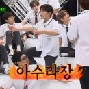 호시 이미지