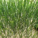 천왕농장 이미지