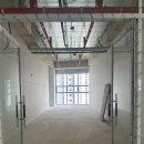 존프랭클 위즈덤 주짓수 이미지