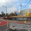 월드헬스타운 이미지