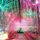 대전아쿠아리움 | 30개월 아이와 다시 찾은 보문산 대전 아쿠아리움 내돈내산 솔직 후기