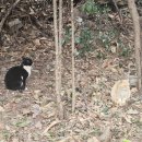 땅뫼산산책로변 공중화장실 이미지