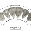 가지런이 치과교정과 치과의원 이미지