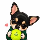 마곡 반려견 동반 식당 가능할까 🐶 짱아랑 출근했다가 직접 찾아본 현실 후기