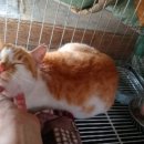 논산동물병원 이미지