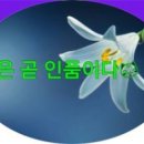 뽑자뽑자 이미지