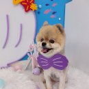 굿데이멍 이미지