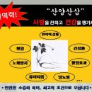 짱이닭최고닭