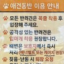프리다아트스페이스