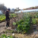 우만농장 이미지