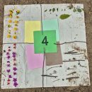 (숲-Day1) math '4' 4가지 봄의 색깔 이미지