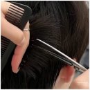 하루의 힐링 이미지