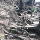 연일정씨배산문중 이미지