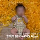 친구랑 신나는 놀이체육 | 이마트 문화센터 하월곡점 '반짝반짝 똘망이' 4~10개월 아기 촉감놀이 강추! 👶🏻
