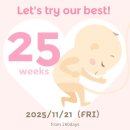 화랑세탁 | 임신 중기 25~28주 : 입체초음파 실패, 대구 베페, 잉글레시나 일렉타, 바구니카시트 당근, 경주 라한...