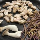 봉자막창 죽전점 이미지