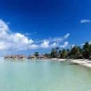 Stranger on the Shore(해변의 길손,1961)-Acker Bilk(에커빌크)/ANDY WILLIAMS 이미지