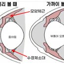 마나나안경원 이미지