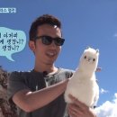 한코한코핸드메이드 이미지
