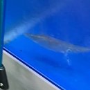 상록목장 이미지