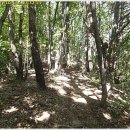 공산초교 이미지