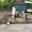 사곡보건진료소 이미지